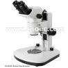 Buy cheap Medical Inspection Stereo Optical Microscope LED Illumination A23.0903-BL1 from wholesalers