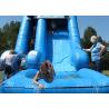 Buy cheap Dolphin 16 Foot Water Park Inflatable Pool Slide / Air Water Slide Pool from wholesalers