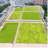 Buy cheap Garden Usage Hydroponic Plant Seed Square Plastic Flower Pot Tray Dish Mold Dissolving from wholesalers