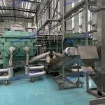 Food Chemical Petrochemical JYG Series Thermal Oil Hollow Paddle Dryer