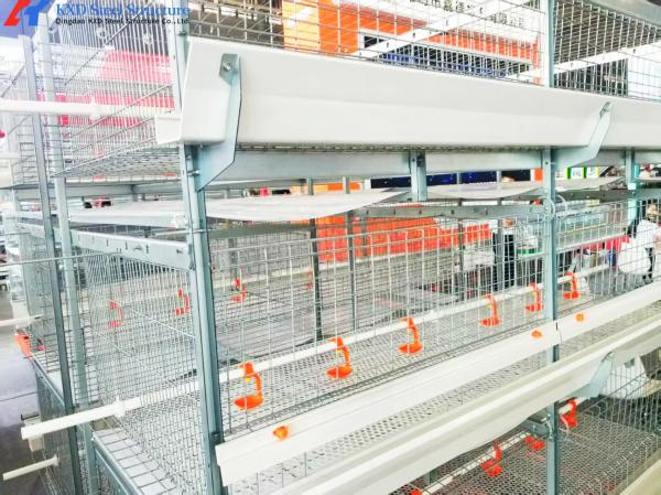 Buy cheap Animal Feeding H Type Automatic Chicken Cage , Hen Battery Cages For Broilers from wholesalers