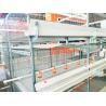 Buy cheap Animal Feeding H Type Automatic Chicken Cage , Hen Battery Cages For Broilers from wholesalers