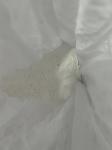 Starch Modified Vegetable Gelatin Powder For Softgel Capsules