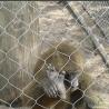 Buy cheap Anping flexible stainless steel cable mesh,diamond mesh fence wire fencing from wholesalers