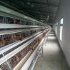 Buy cheap 3 Tier Layer Egg Chicken Cage from wholesalers