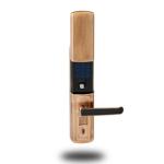 k6010 Fingerprint door locks biometric lock RFID CARD LOCK PASSWORD LOCKS