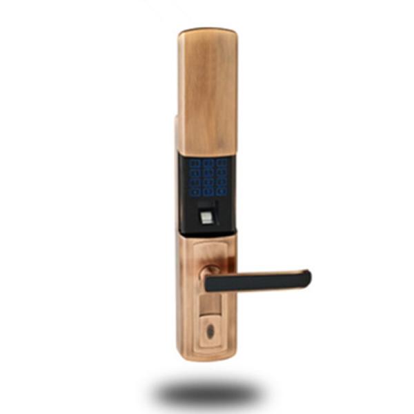 Buy cheap k6010 Fingerprint door locks biometric lock RFID CARD LOCK PASSWORD LOCKS from wholesalers