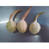 Buy cheap Frozen Arrowhead Slices(bell, pine cone, hexagon - shaped ) for food decoration from wholesalers