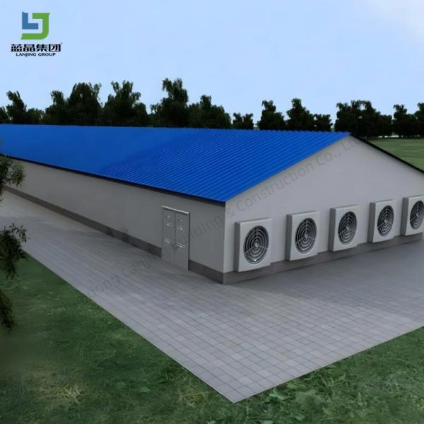 Buy cheap Prefabricated Farm Steel Structure Open Colsed Broiler Poultry Chicken Houses Fully Automated Chicken Farming Equipment Cow Barn Shed from wholesalers