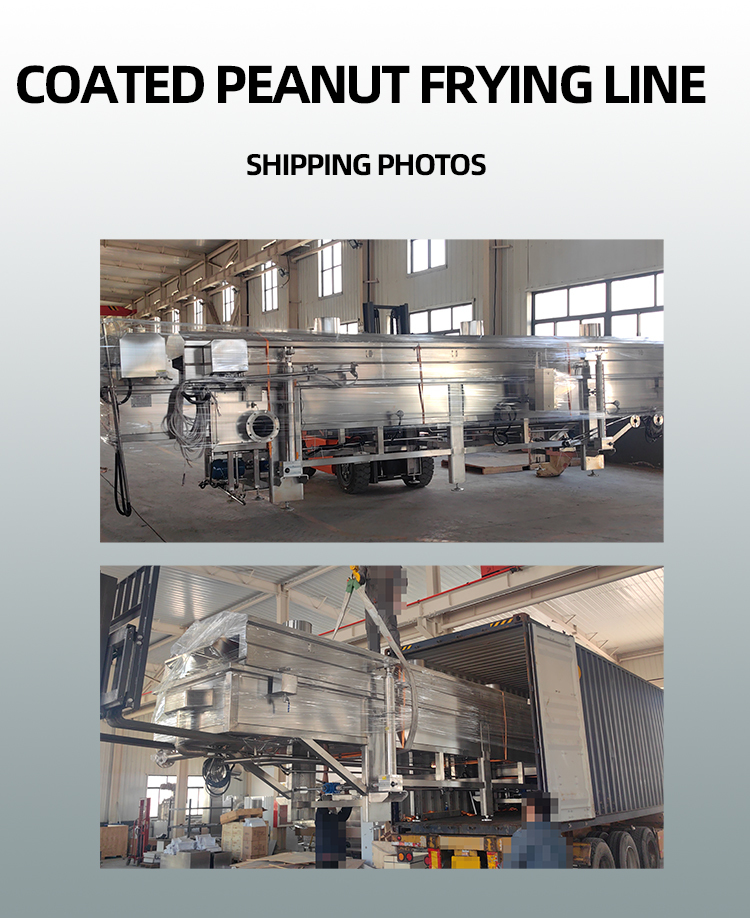 Customizable Commercial Fully Automatic Fried Peanut Production Line Fried Nuts Production Line