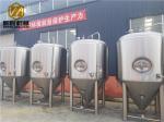 Efficiency Stainless Steel Fermentation Tank Servicing Tank For Micro Brewery ,