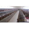 Buy cheap Low price and simple flat pack container house for living and warehouse from wholesalers
