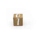 Custom Natural Wooden Wooden Milestone Blocks 2.5inch Monthly Age Blocks