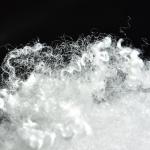 Flame Retardant Hollow Conjugated Polyester Staple Fiber For Home Textile