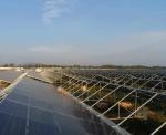 6/9.6/12meters Single/Multi Span Photovoltaic Greenhouses for Country Illuminate