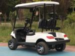 2 Seater EV GC Golf Carts Street Legal LSV Customizable Color For Hotel And Club