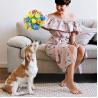 Buy cheap Pet Slow Feeder Interactive Food Puzzle Dispenser Robot Food Dispenser from wholesalers
