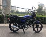 Turkey popular high quality alpha 110cc model for hot sale