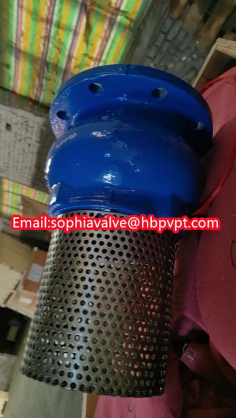 Buy cheap JIS ANSI 125LB cast iron flanged foot valve from wholesalers