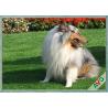 Buy cheap Anti Bacterial Soft Permeable Fake Green Grass Pet Grass Field Green Color from wholesalers
