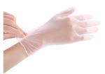 Multipurpose Single Use PVC Examination Gloves