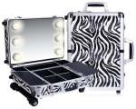 Professional aluminum makeup beauty case