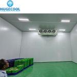 Assembled Cold Storage Chiller/Cooler/Freezer Room with Condensing Unit