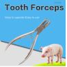 Buy cheap Durable Teeth Cutting Pliers For Rabbit , Stainless Steel Pig Teeth Clipping from wholesalers