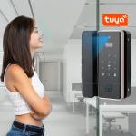 Digital Automatic Face Recognition Door Lock Tuya Fingerprint Password IC Card