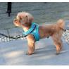 Buy cheap Small Kitten Nylon Pet Harness Vest Large Fat Anxiety Cat Vest Easy Walk from wholesalers