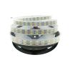 Buy cheap IP67 Waterproof 12v Led Strip Lights 5050 120 LEDs/m Silicone Tube from wholesalers