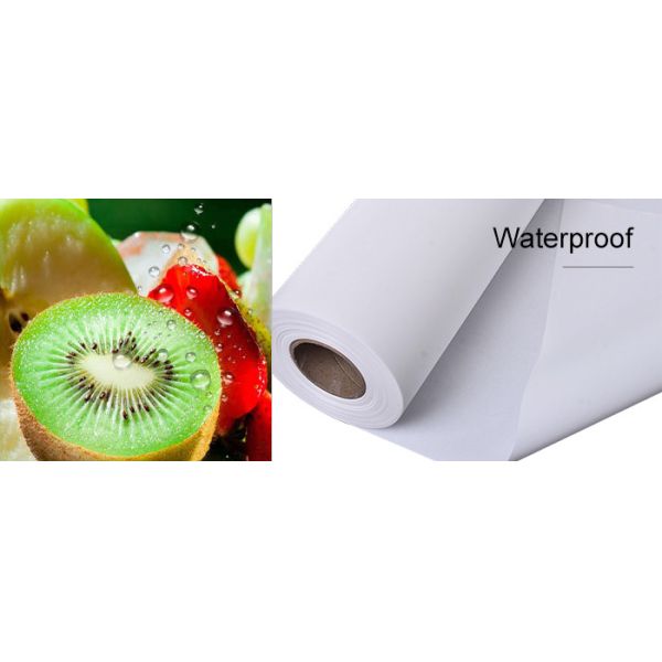 Thin 120gsm 12'' Canvas Drawing Paper , Polyester Canvas Rolls Waterproof For Art