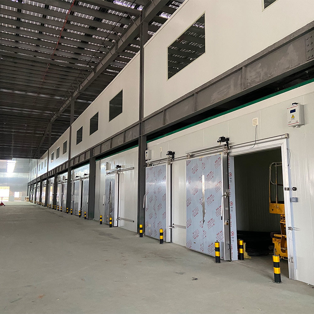 Blast Freezer Cold Room 220V 380V For Meat / Fruit / Vegetable