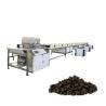 Buy cheap 200kg/H Copeland Chocolate Chip Making Machine from wholesalers