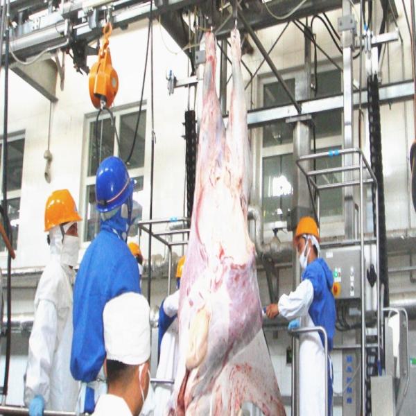 Buy cheap Customized 7.5KW Slaughterhouse Cow Machine Automatic Cow Slaughtering Machine from wholesalers