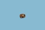 Knurled Nut 1