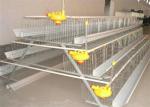 Q235 Layer Bird Cage 3 Tier 5 Doors Galvanized Chicken Layer Cages