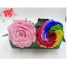 Buy cheap 10cm Preserved Flower Rose with Stem Long 30cm Real natural fresh roses from wholesalers