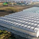 Green Leaves Vegetables Wide Span Agricultural Greenhouse with Customized