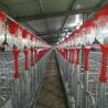 Buy cheap 1inch Pipe OD Swine Farrowing Pen Farm Equipment 2.2*0.65m from wholesalers