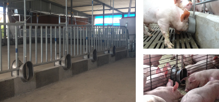 SS304 Oval Shaped Hog Water Bowl Automatic Drinker For Pigs