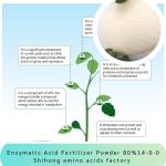 Enzymatic Acid Fertilizer Powder Amino Acid 80% Ph5-7 NPK 14-0-0 Plant