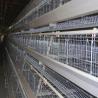 Buy cheap Battery Cage System For Laying Hens With Hot-dip Galvanization from wholesalers