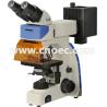 Buy cheap Binocular Epi - Reflected Led Fluorescence Microscope Light Source A16.2701 from wholesalers
