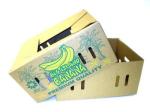 CORRUGATED CARTON FRUIT BOX