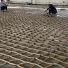 Buy cheap Outlet Customized 3 Strand Safety Cargo Nets For Port Or Ship from wholesalers