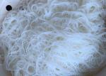 Free Gluten Rice Noodles