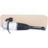 Buy cheap 3W5616002D Bently Air Suspension Strut Auto Parts Rear Right Air Shock Absorber from wholesalers