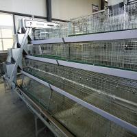 Buy cheap Poultry House Layer 180 / 240 Baby Chick Cage A Type With Feeders product