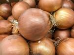 6cm Spicy Osteoporosis Proof Natural Fresh Onion